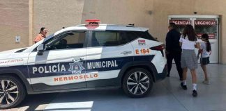 Atienden a tres niñas tras picaduras de alacrán e insectos en escuelas de Hermosillo Atienden a tres niñas tras picaduras de alacrán e insectos en escuelas de Hermosillo