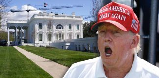 Trump explota contra periodista por pregunta sobre salón en la Casa Blanca: “Duplique su tamaño, persona tonta”