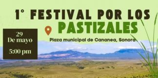 Llega el 1er Festival por los Pastizales a Cananea con cultura, música y actividades gratuitas