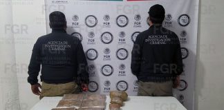Dictan 8 años de prisión a hombre que transportaba droga entre piñas en carretera de Huatabampo, Sonora