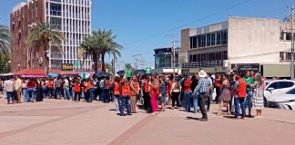 Sonora pone a prueba reacción ante sismos: participan 65 mil personas en simulacro nacional