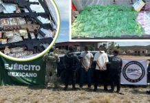 Logran autoridades de Sonora 149 detenidos y más de 550 mil dosis de droga aseguradas en una semana