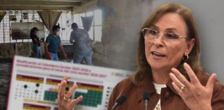 Rocío Nahle pide a SEP no modificar calendario escolar en Veracruz por suspensión de clases durante contingencia