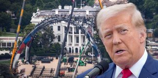 Construyen estadio temporal en la Casa Blanca para función de UFC por el cumpleaños 80 de Donald Trump