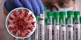 OMS lanza alerta por hantavirus: podrían surgir nuevos casos tras brote en crucero