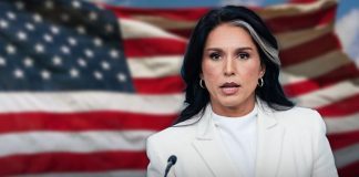 Tulsi Gabbard renuncia como directora de Inteligencia Nacional de Estados Unidos Tulsi Gabbard renuncia como directora de Inteligencia Nacional de Estados Unidos
