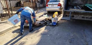 Jornada de descacharre en Hermosillo elimina 287 toneladas de residuos para prevenir dengue y rickettsia
