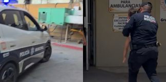 Niña de 4 años sufre mordedura de araña al sur de Hermosillo