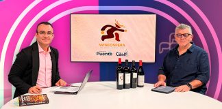 ¿Qué hace especial a la Nebbiolo mexicana? Esto la diferencia de la italiana: Wineosfera