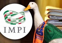 Sujeto intenta agandallar la marca del Pato Merlín, pide registro del IMPI antes que la familia dueña de popular palmipedo