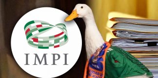 Sujeto intenta agandallar la marca del Pato Merlín, pide registro del IMPI antes que la familia dueña de popular palmipedo