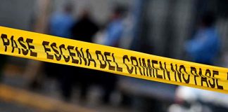 Hallan el cuerpo de una mujer dentro de una hielera en un vehículo abandonado; autoridades investigan el caso Hallan el cuerpo de una mujer dentro de una hielera en un vehículo abandonado; autoridades investigan el caso