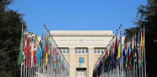 ONU exige alto el fuego real en Gaza tras más de mil muertes registradas desde la tregua ONU exige alto el fuego real en Gaza tras más de mil muertes registradas desde la tregua