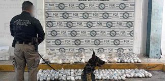 Aseguran 184 paquetes con metanfetamina en Hermosillo; la droga iba de paquetería hacia Tijuana y EEUU Aseguran 184 paquetes con metanfetamina en Hermosillo; la droga iba de paquetería hacia Tijuana y EEUU