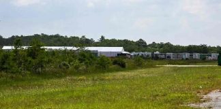 Florida cierra el centro migratorio Alligator Alcatraz tras casi 21 mil deportaciones y polémica internacional