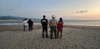 Rescatan cuerpo de turista atacado por un cocodrilo frente a playa de Puerto Vallarta