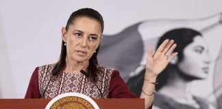 OCDE ubica a México entre los países con mayor confianza en su Gobierno, afirma Sheinbaum
