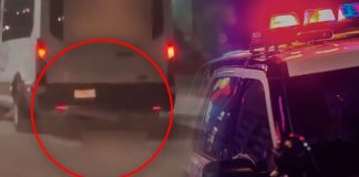 Capturan a chofer de transporte acusado de arrastrar a perro hasta causarle la muerte en Hermosillo