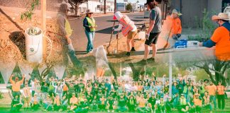 Sombra 360: la iniciativa que capacitará a ciudadanos para plantar y cuidar árboles en Hermosillo