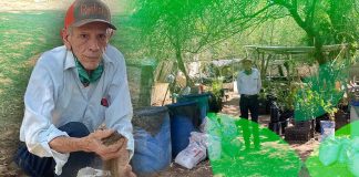 Ingeniero hermosillense crea lombricomposta para cultivar alimentos, reforestar sin químicos y cuidar el medioambiente