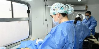 IMPBA realizará esterilizaciones gratuitas en Hermosillo; conoce fechas y requisitos IMPBA realizará esterilizaciones gratuitas en Hermosillo; conoce fechas y requisitos