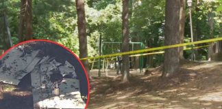 Tres personas mueren tras desplome de avioneta en zona residencial cerca de Washington Tres personas mueren tras desplome de avioneta en zona residencial cerca de Washington