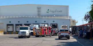 Se incendian camiones en empresa distribuidora de fruta en Hermosillo