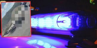 Trágico choque entre motocicleta y automóvil en carretera de Álamos deja dos personas sin vida Trágico choque entre motocicleta y automóvil en carretera de Álamos deja dos personas sin vida