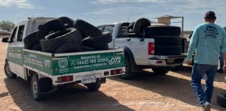 Recolectan 639 llantas en colonia La Campiña de Hermosillo; evitan la emisión de 17 toneladas de CO₂