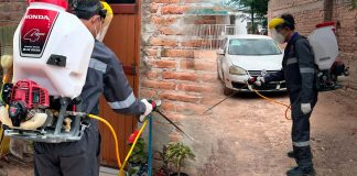 Refuerzan combate a la rickettsia en Sonora: fumigan más de 2 mil 600 viviendas ante temporada de calor