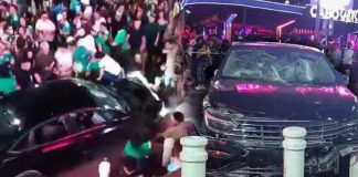 Atropellamiento masivo durante festejos de México deja múltiples lesionados en Cabo San Lucas; conductor fue golpeado y terminó detenido