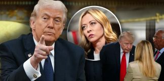 Trump desata crisis diplomática con Italia al afirmar que Meloni le pidió una foto en el G7 y Roma lo niega Trump desata crisis diplomática con Italia al afirmar que Meloni le pidió una foto en el G7 y Roma lo niega