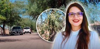 Solo 6% de Hermosillo tiene áreas verdes, revela estudio de UES; llaman a apoyar en reforestación Solo 6% de Hermosillo tiene áreas verdes, revela estudio de UES; llaman a apoyar en reforestación