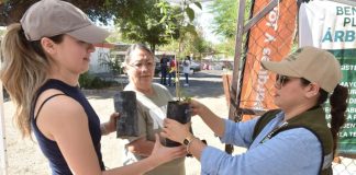 ¿Quieres un árbol nativo? Así puedes obtener el tuyo en Hermosillo
