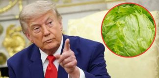 Trump amenaza con imponer arancel a México por brote de diarrea ligado a la lechuga Trump amenaza con imponer arancel a México por brote de diarrea ligado a la lechuga
