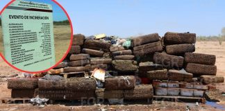 FGR destruye más de una tonelada de droga asegurada en Sonora; incluía metanfetamina, marihuana y cocaína