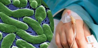 Florida confirma una muerte y 12 casos por “bacteria carnívora” que amenaza en aguas costeras