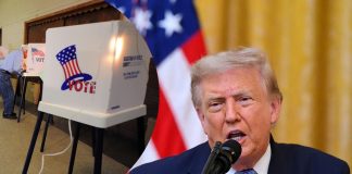 Trump denuncia fraude electoral en EEUU, pero documentos de la Casa Blanca no respaldan sus acusaciones