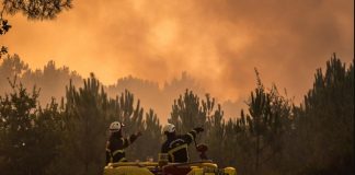 Incendio en Francia deja pérdidas millonarias y desata polémica por llamados a cancelar viajes