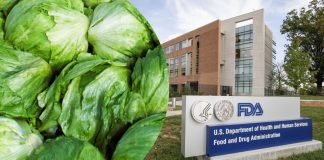 FDA da marcha atrás: lechuga mexicana no provocó brote de diarrea explosiva en EEUU FDA da marcha atrás: lechuga mexicana no provocó brote de diarrea explosiva en EEUU
