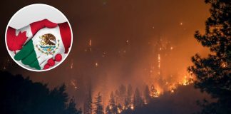 México envía 104 brigadistas a Canadá para combatir los incendios forestales
