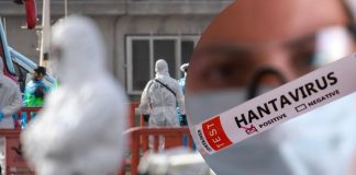 Venezuela confirma tres muertes por hantavirus; autoridades descartan transmisión entre personas Venezuela confirma tres muertes por hantavirus; autoridades descartan transmisión entre personas