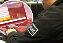 Alertan por fraudes en vacaciones: SSPC Sonora emite recomendaciones para evitar estafas al reservar viajes