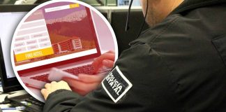 Alertan por fraudes en vacaciones: SSPC Sonora emite recomendaciones para evitar estafas al reservar viajes