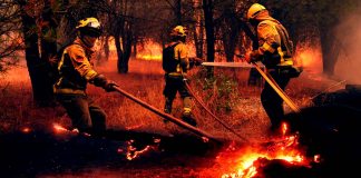 Arrasan incendios en España y Francia más de 120 mil hectáreas; hay 325 mil personas desplazadas