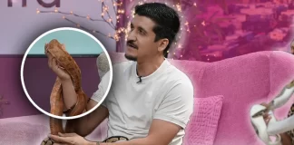 Joel García invita a conocer de cerca el mundo de las serpientes