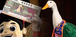 Pato Merlín llega a la Lotería Nacional con billete conmemorativo tras convertirse en fenómeno viral del Mundial 2026 Pato Merlín llega a la Lotería Nacional con billete conmemorativo tras convertirse en fenómeno viral del Mundial 2026