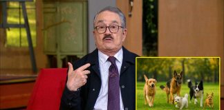 Pedro Sola se disculpa por decir que arrojaría carne envenenada a perros: “Cometí un error”