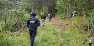 Balean patrulla, hieren a un policía y desatan bloqueos carreteros en Michoacán Balean patrulla, hieren a un policía y desatan bloqueos carreteros en Michoacán