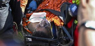 Hombre sobrevive 8 días bajo los escombros en Venezuela; su rescate es calificado como un milagro Hombre sobrevive 8 días bajo los escombros en Venezuela; su rescate es calificado como un milagro